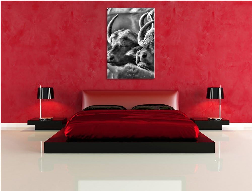 Pixxprint Monocrome, Zwei gemütliche Wasserbüffel, Format: 100x70 auf Leinwand, 100x70