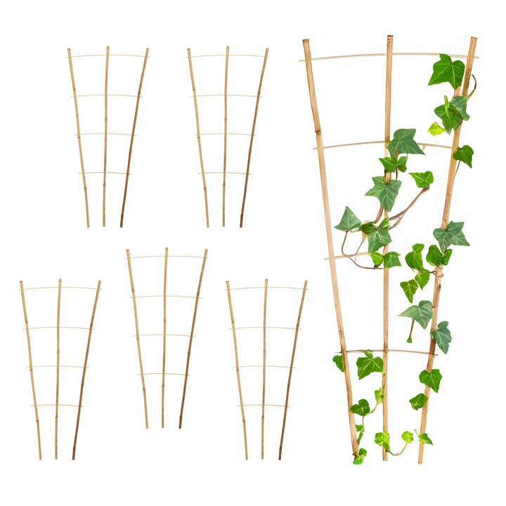 Bambus Rankgitter 75 x 35 cm Natur - 6er Set - Holz Kletterhilfe konisch für Rankpflanzen – Garten P