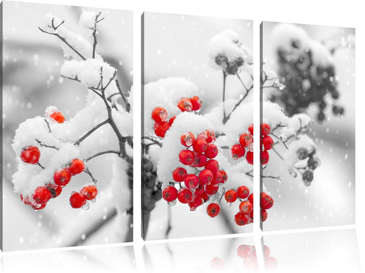 Rote Vogelbeeren im Winter schwarz/weiss 3-Teiler Leinwandbild 120x80 Bild auf Leinwand, XXL riesige
