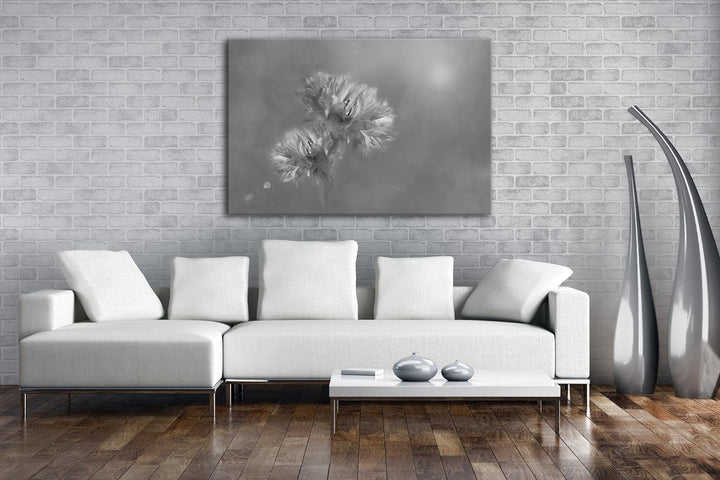 deyoli zwei violette Kornblumen Effekt: Schwarz/Weiss Format: 60x40 als Leinwand, Motiv fertig gerah