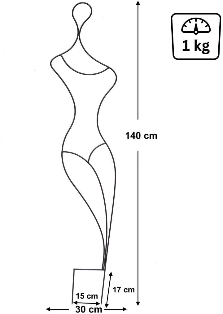 DanDiBo Design Rankhilfe Metall Rankgitter 140 cm Schwarz Frau Gracia Kletterhilfe Bodenstecker Blum