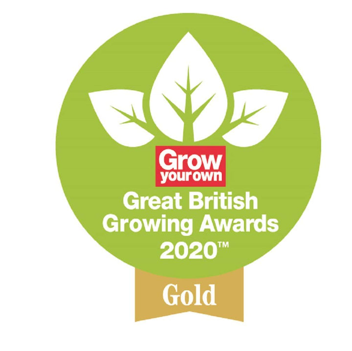 Spear & Jackson COLOURS3PSSS Colours Handwerkzeug-Set, Edelstahl, 3-teilig, 30x8x5 cm Edelstahl-Set