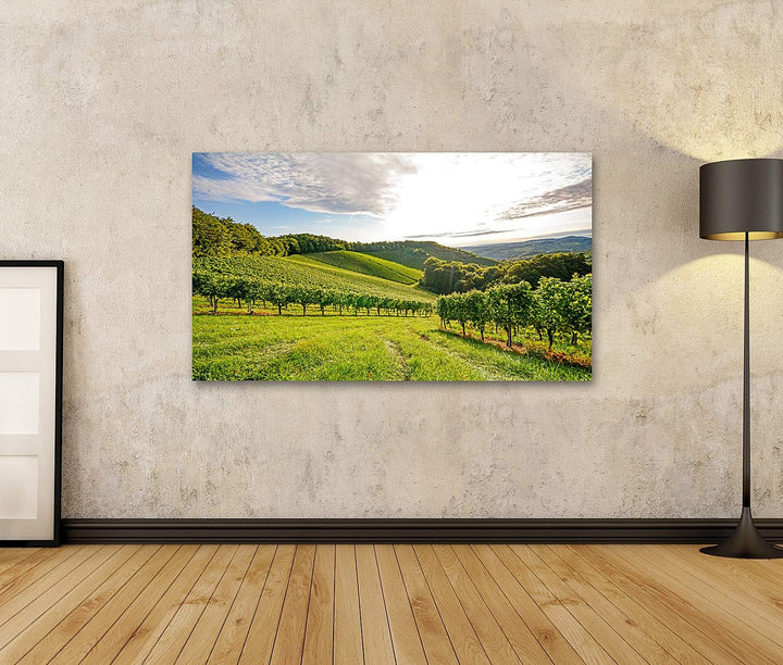 islandburner Bild auf Leinwand Weinberge Sonne Vor Der Ernte Europa Bilder Wandbilder Poster Leinwan