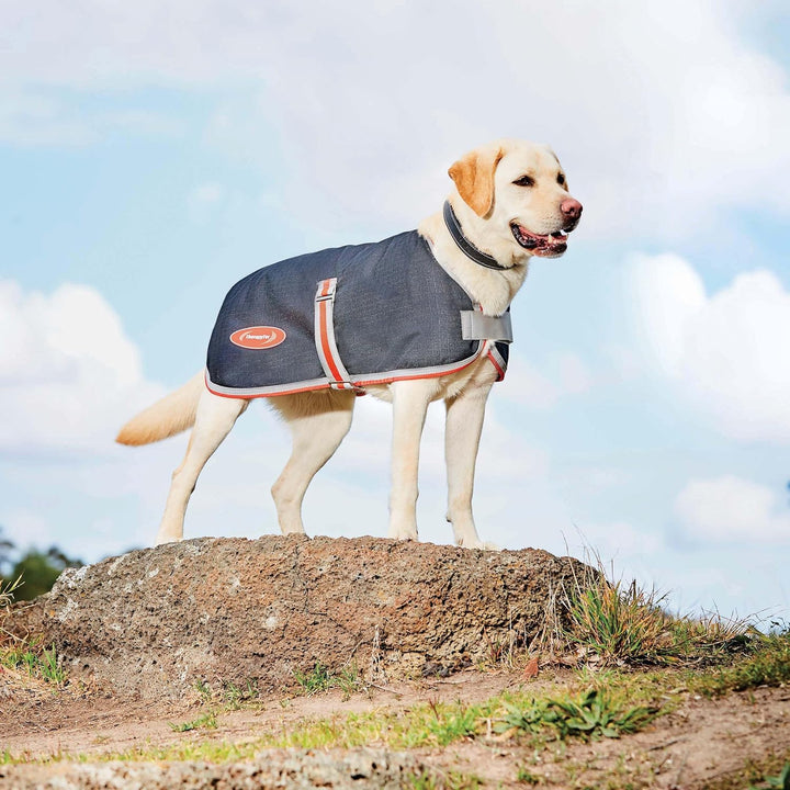 WeatherBeeta Hundemantel ComFiTec 1200D Therapy-Tec - 30 cm - Weiss-Silber, 30 cm