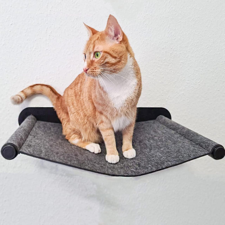 CanadianCat Company | Katzenhängematte aus Filz mit Wandmontage | ca. 65 x 35 x 10 cm | Anthrazit |