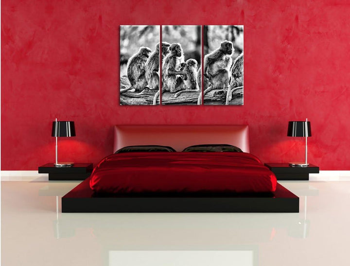 Pixxprint liebevolle Affenfamilie als Leinwandbild/Grösse: 3 Teilig (120x80) cm/Wandbild/Kunstdruck/