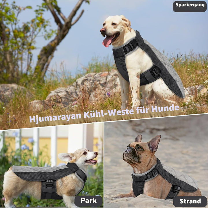 Kühlweste Hund, Sommer Kühlgeschirr für Hunde mit D-Ringe, Sonnenschutz Hund Kühlmantel, Kühlendes H