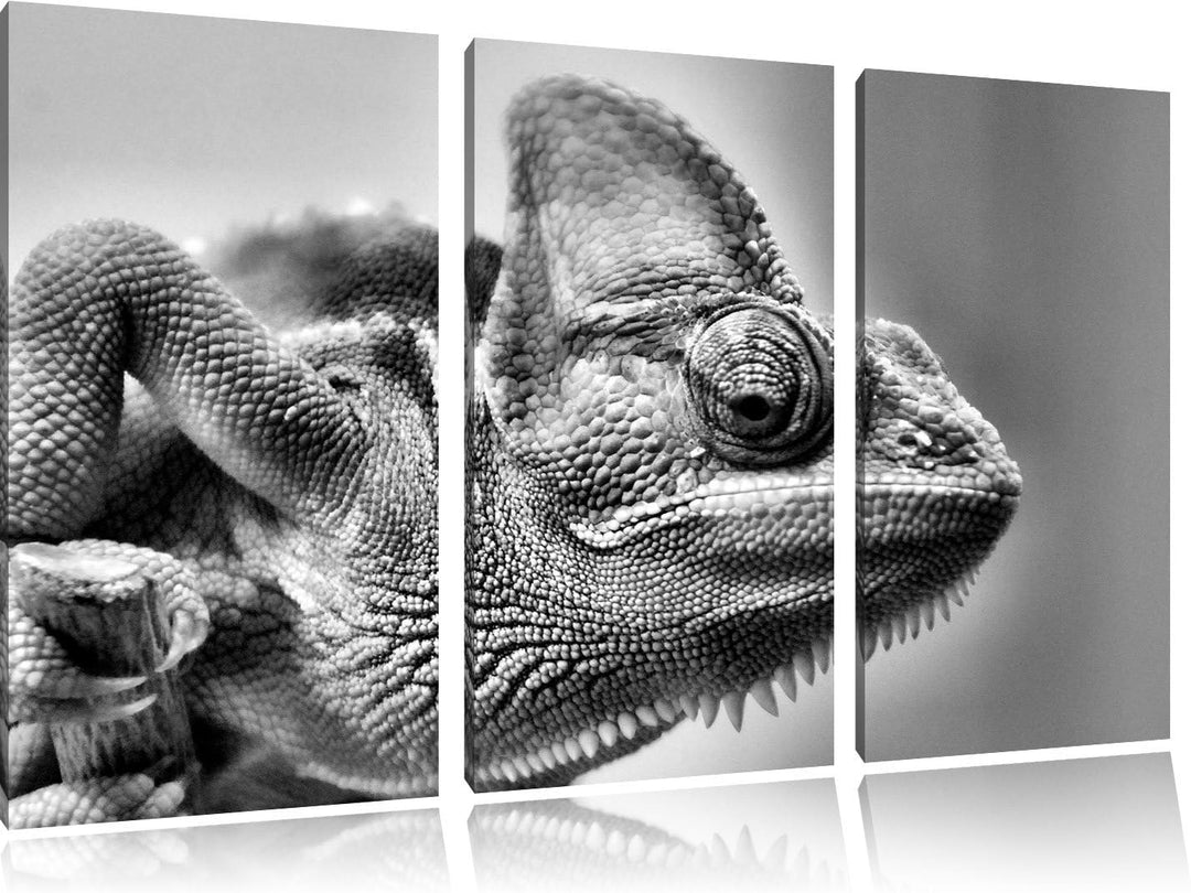 Pixxprint gelbes Chamäleon als Leinwandbild/Grösse: 3 Teilig (120x80) / Wandbild/Kunstdruck/fertig b