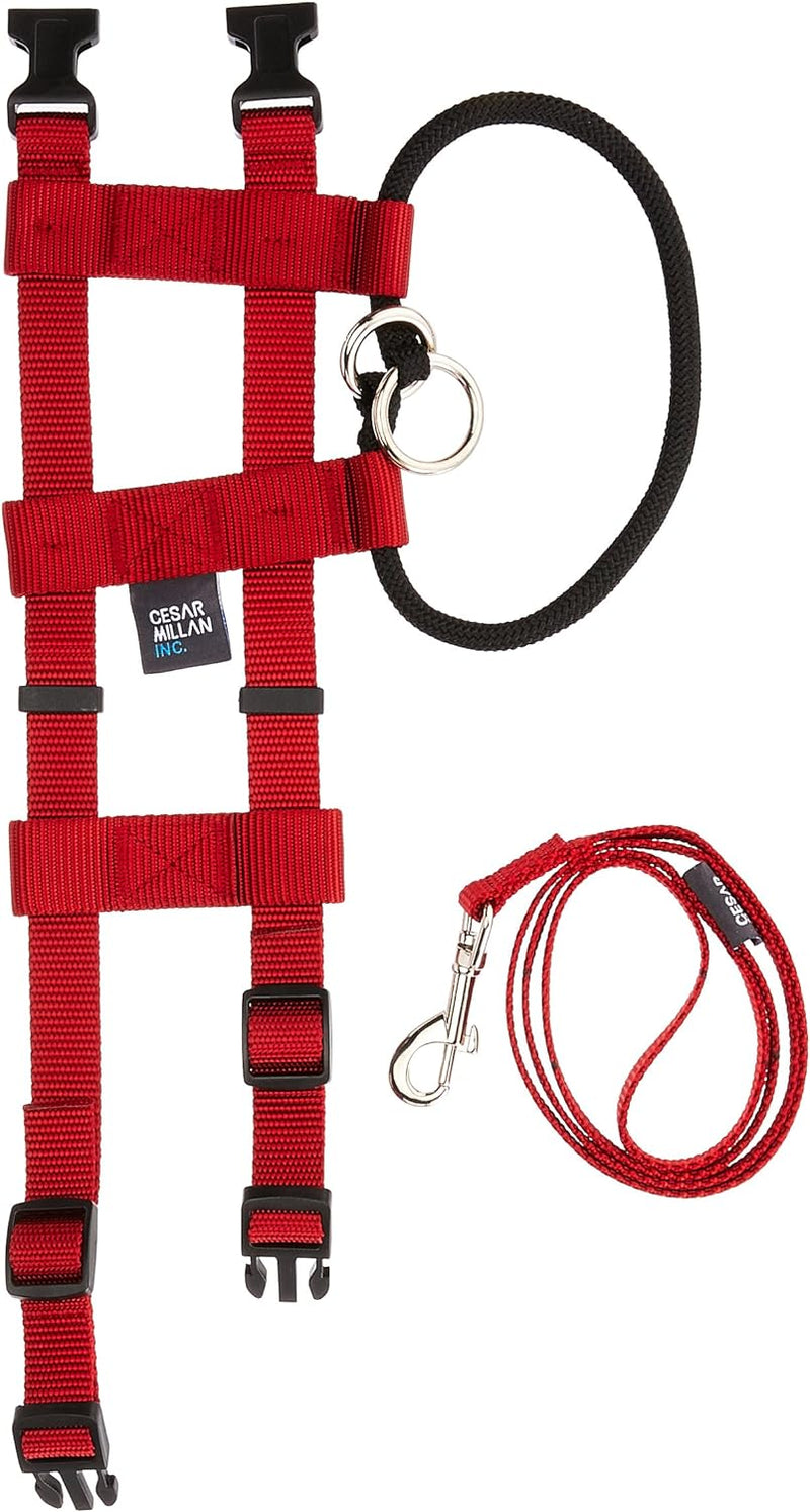 Original Illusion Collar Trainingshalsband & Leine des amerikanischen Hundeflüsterer Cesar Millan, G