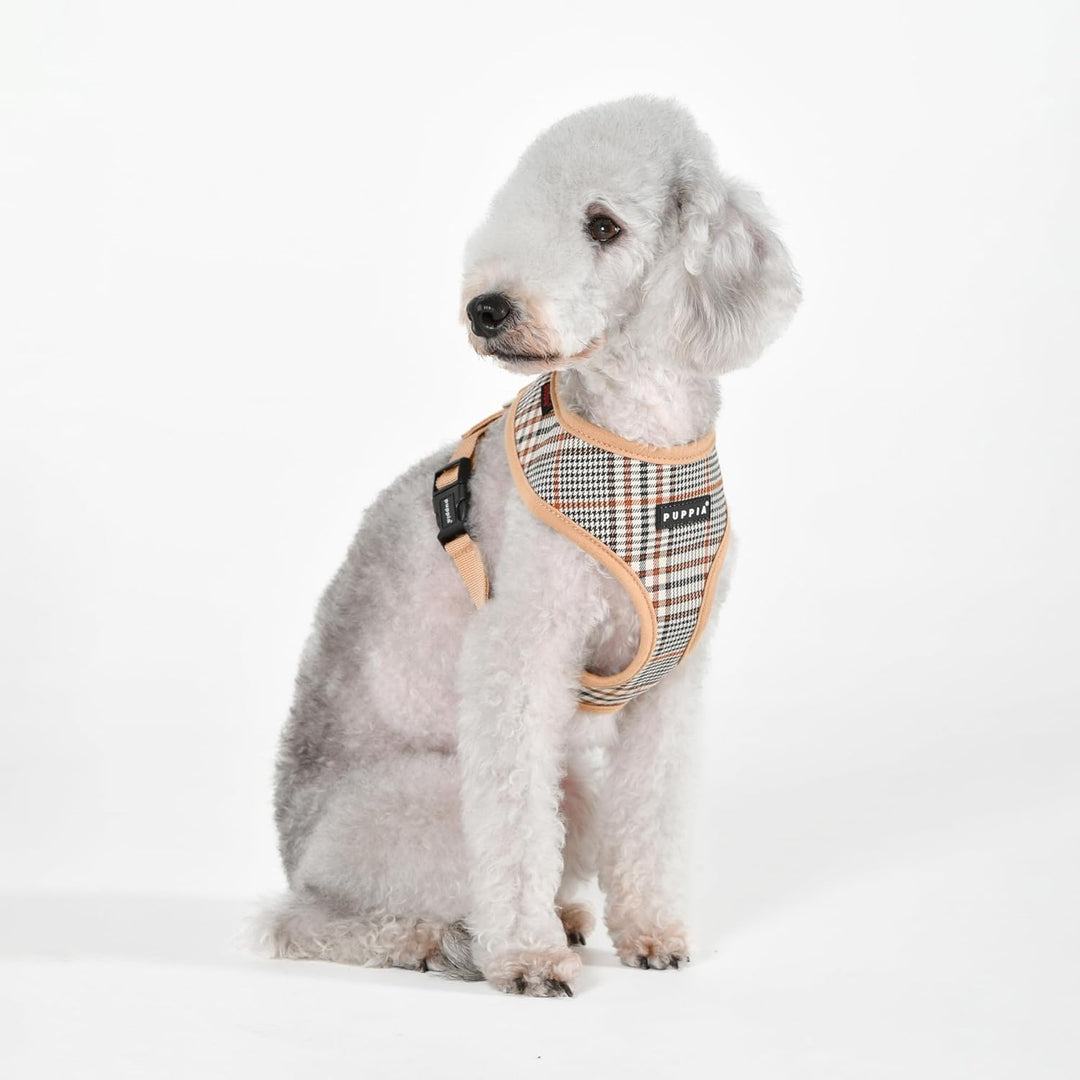 Lucas Harness A Hundegeschirr Beige S Beige_Lucas Small, Beige_Lucas Small