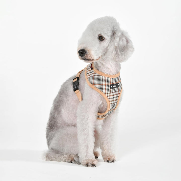Lucas Harness A Hundegeschirr Beige S Beige_Lucas Small, Beige_Lucas Small
