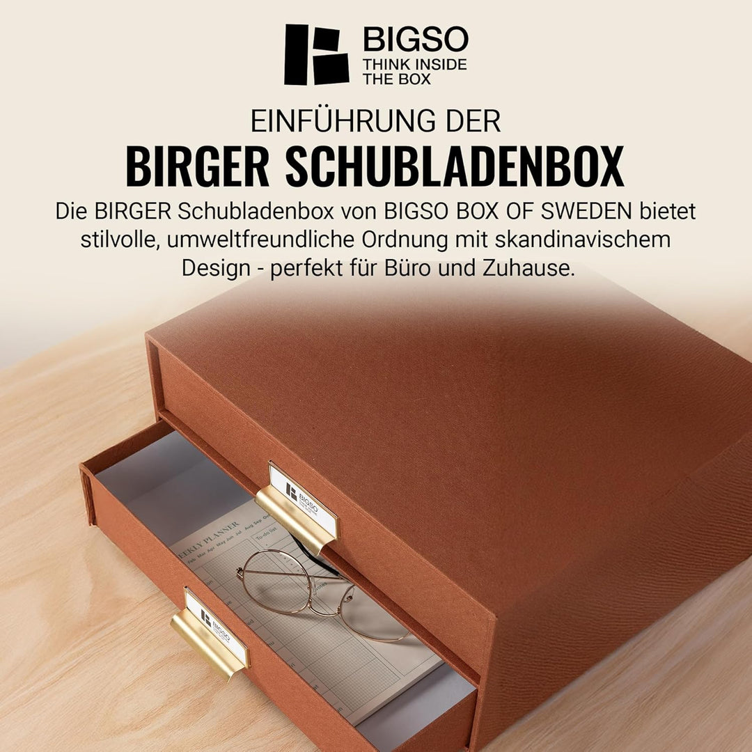 BIGSO BIRGER Schubladenbox – Aufbewahrungsbox mit 2 Schubladen – Schreibtisch Ablage für Dokumente &