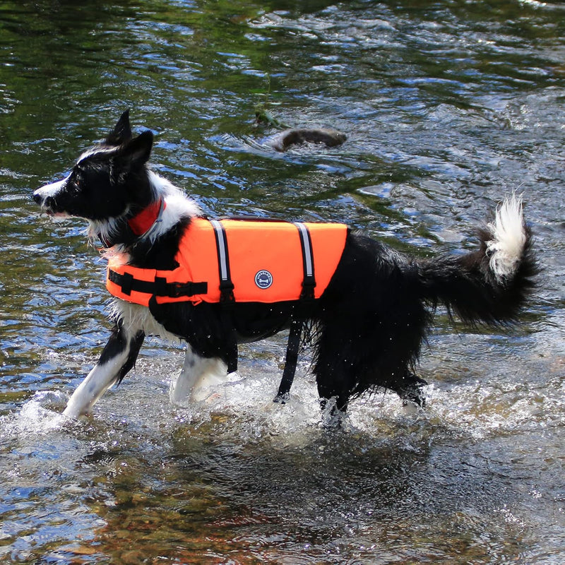 VIVAGLORY Ripstop Hunde Rettungsweste für Kleine Mittel Grosse Hunde Bootfahren, Hund Schwimmweste m