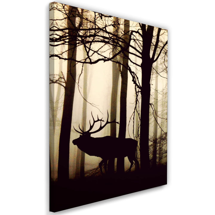 Feeby Bilder Hirsch Wald Nebel XXL 80x120 cm 1Teilig Wohnzimmer Schlafzimmer Modern Wandbilder Vlies