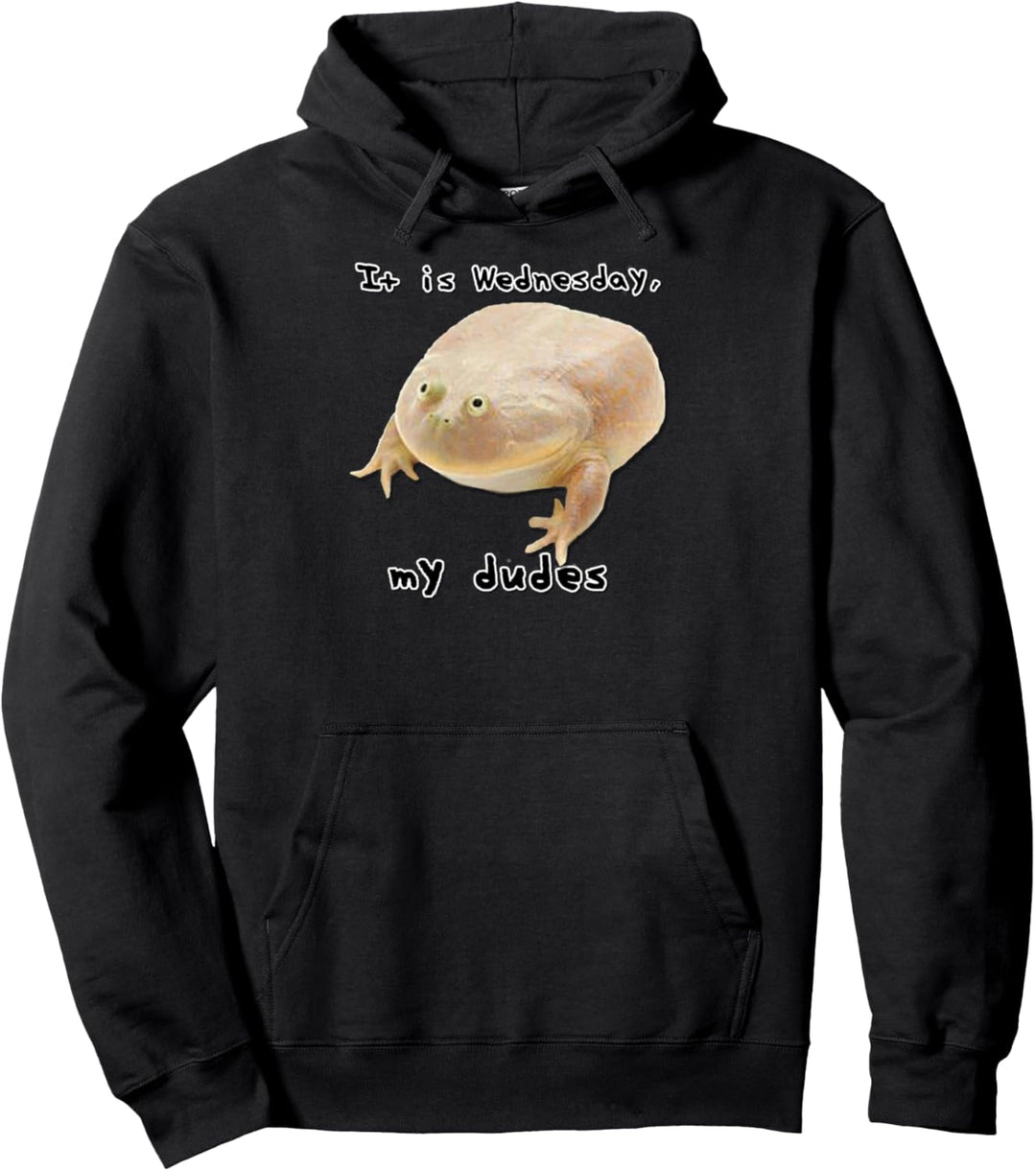 „It is Wednesday My Dudes“ lustiges klassisches Frosch-Meme-Original. Pullover Hoodie