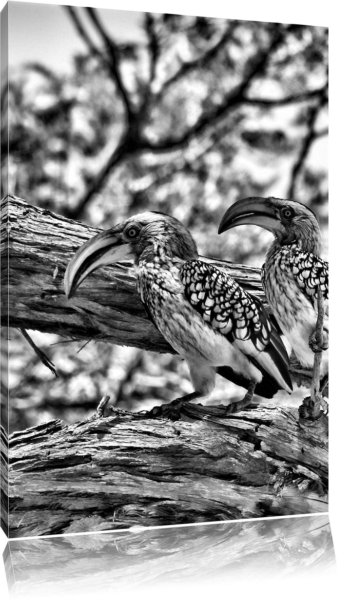 Pixxprint Zwei exotische Vögel auf Baum / 100x70cm Leinwandbild bespannt auf Holzrahmen/Wandbild Kun