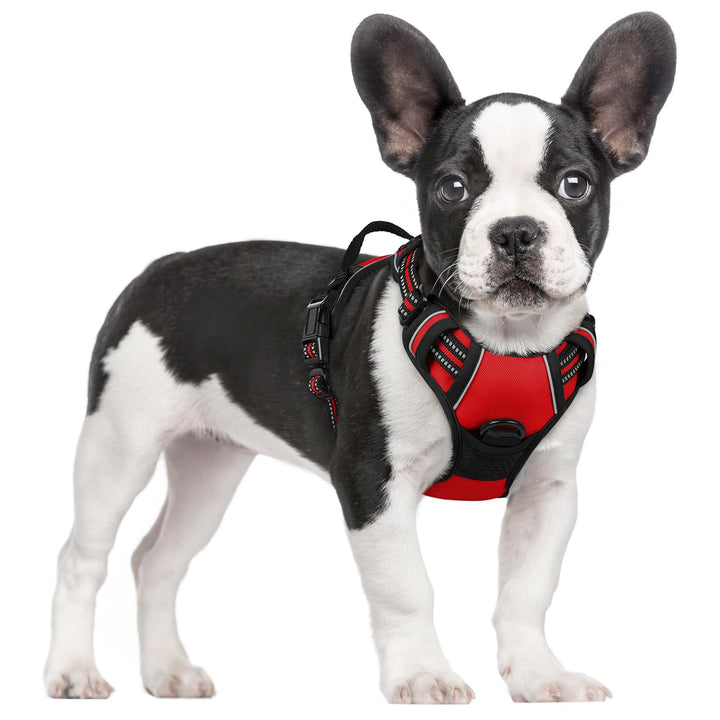 rabbitgoo Hundegeschirr Mittelgrosse Hunde Anti Zug Geschirr Hund mit Kontrolle No Pull Verstellbar