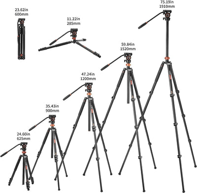 Fluid Head Stativ, Cayer FP2450 Videokamera Stativ 75 Zoll Aluminiumlegierung Einbeinstativ für Cano