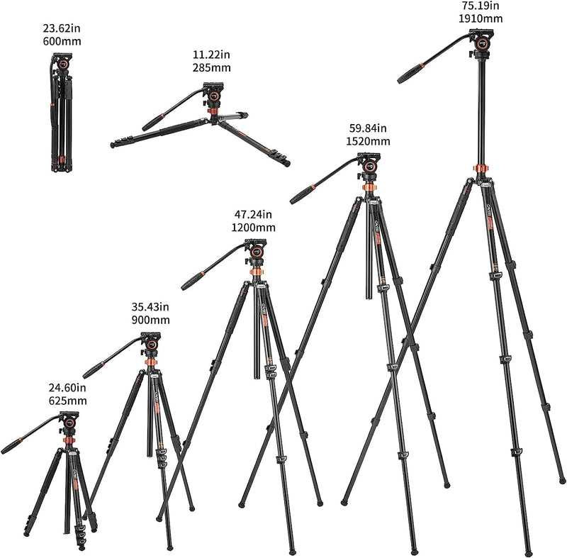 Fluid Head Stativ, Cayer FP2450 Videokamera Stativ 75 Zoll Aluminiumlegierung Einbeinstativ für Cano