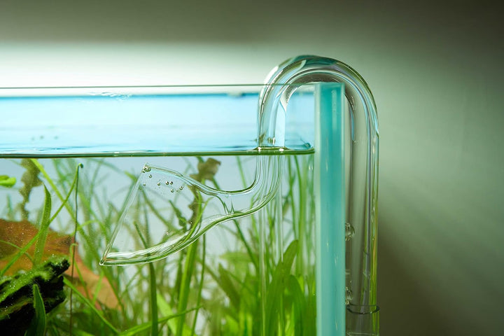 USCAPE Lily Pipe Outflow Glas Aquarien Auslauf Filterzubehör (13mm für 12/16mm Schlauch) 13mm (12/16