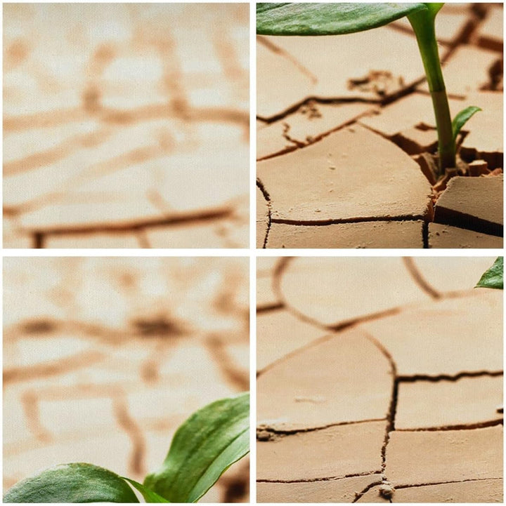 Bilder auf Leinwand 100x70cm Leinwandbild mit Rahmen Wüste Erde Umwelt Gross Wanddeko Bild Schlafzim