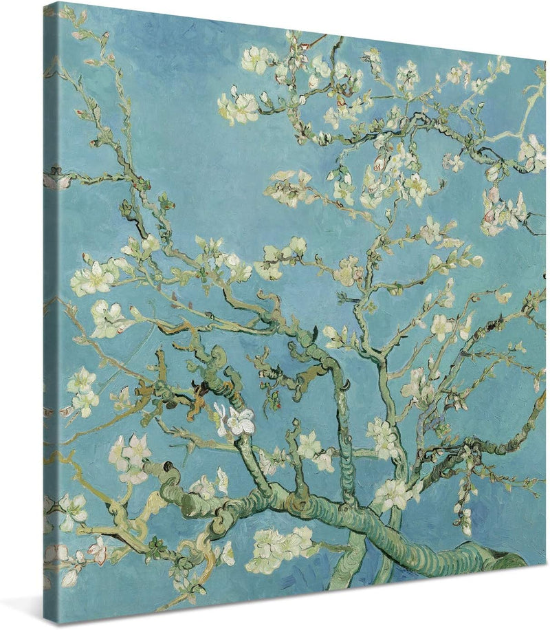 PICANOVA – Vincent Van Gogh Almond Blossom 80x80 cm – Bild auf Leinwand – Leinwandbild – Premium Lei