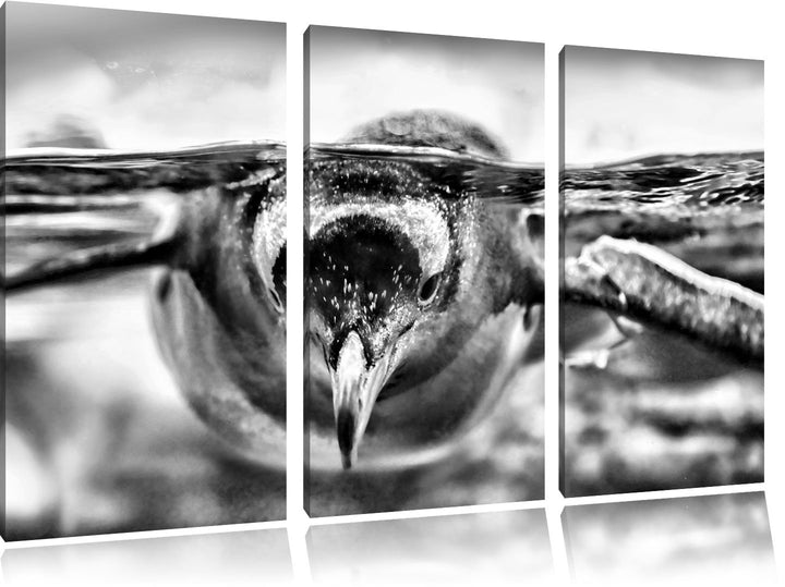 Monocrome, Pinguin im Wasser 3-Teiler Leinwandbild 120x80 Bild auf Leinwand