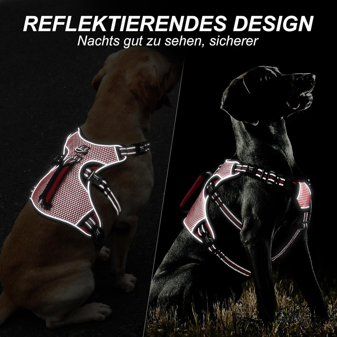 HEELE Hundegeschirr, Ausbruchsicher, Schnalle im Halsbereich, Reflektierend, Brustgeschirr mit Robus