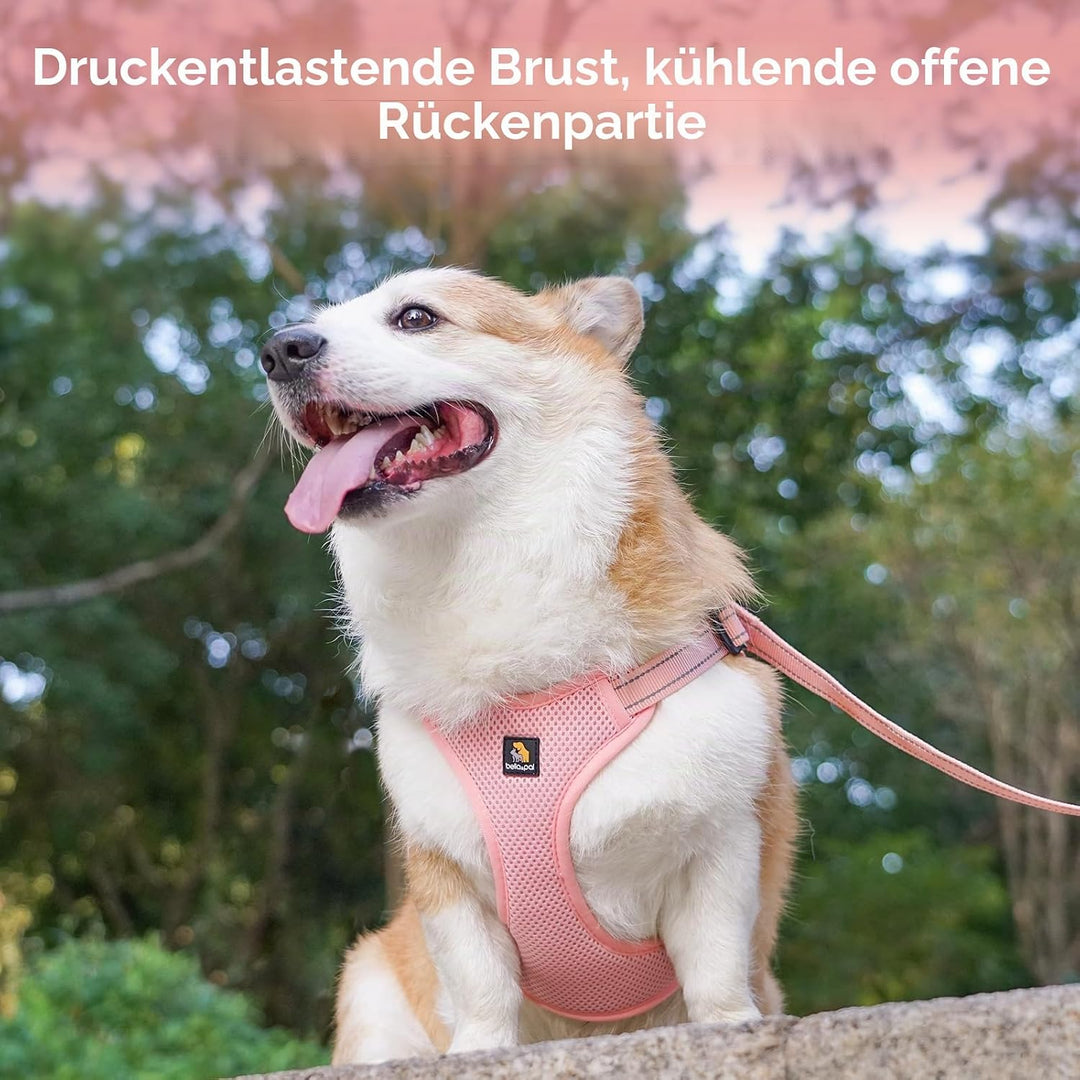 BELLA &amp; PAL Hundegeschirr und Leine Set, Step-in Design mit atmungsaktivem Air-Mesh, reflektierenden