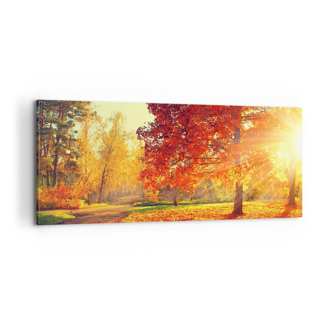 Panorama Bilder auf Leinwand 100x40cm Leinwandbild Park Herbst Baum Gross Wanddeko Bild Schlafzimmer