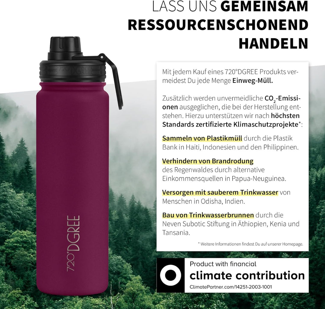 720°DGREE Edelstahl Thermo Trinkflasche 710ml “noLimit” +Früchtebehälter - Auslaufsicher, Kohlensäur