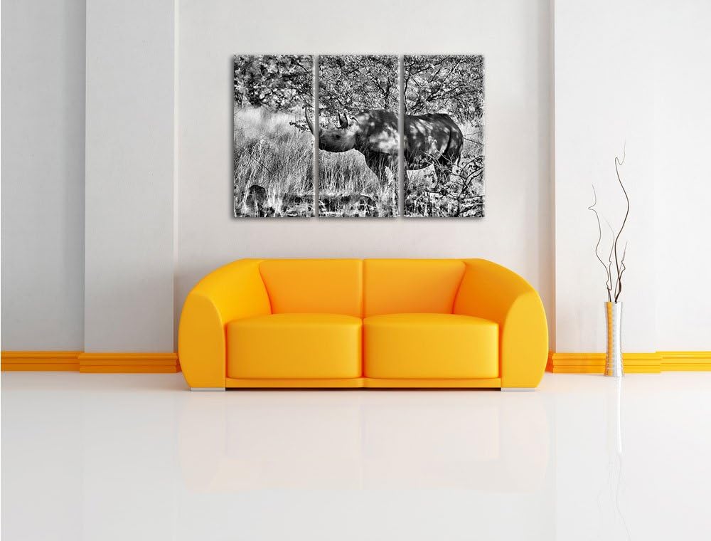Pixxprint Nashorn in der Savanne als Leinwandbild/Grösse: 3 Teilig (120x80) cm/Wandbild/Kunstdruck/f