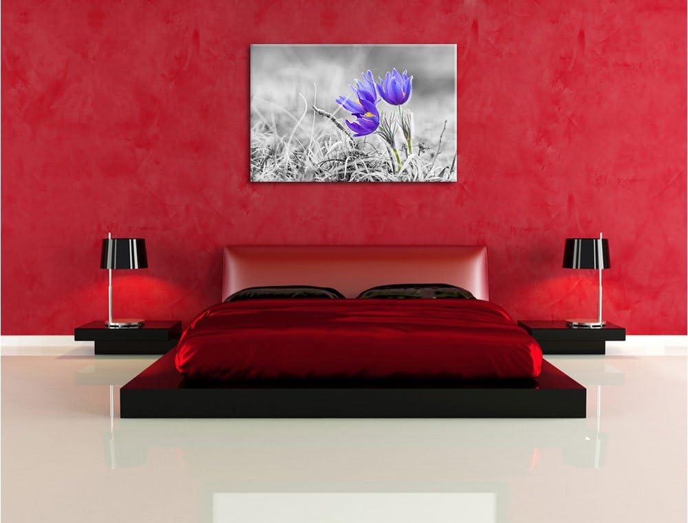 Pixxprint schöne Krokusse als Leinwandbild | Grösse: 100x70 cm | Wandbild | Kunstdruck | fertig besp