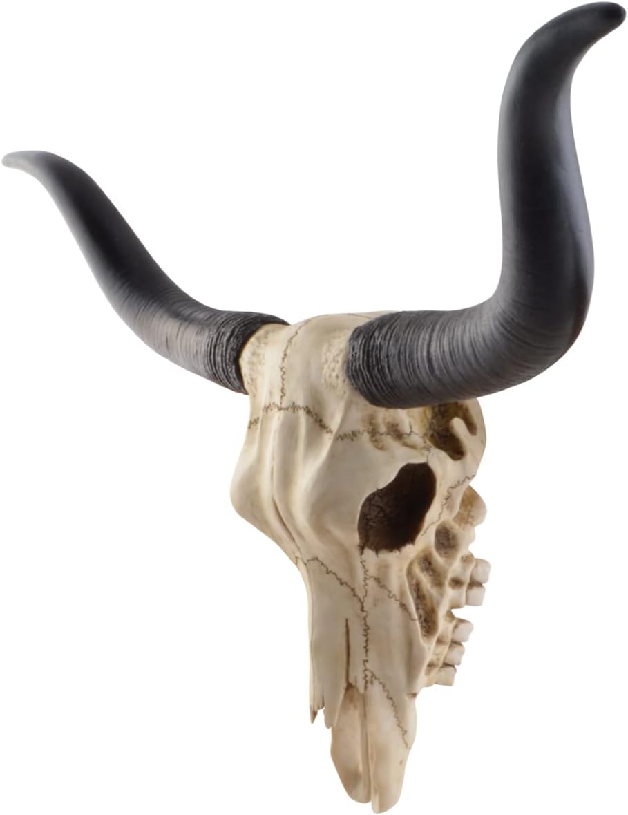 VOGLER Joh. Vogler GmbH Longhorn-Rinderschädel - by Veronese
