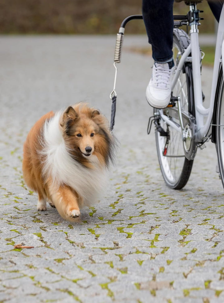 Trixie 1287 Hunde Biker-Set, Grösse S-M
