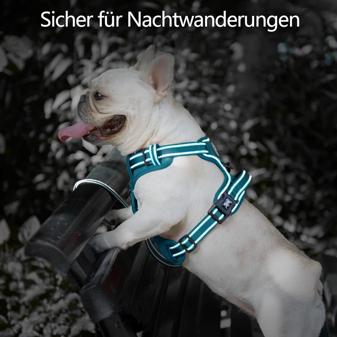 PoyPet Hundegeschirr ohne Zug, Reflektierendes Hundegeschirr für Hunde ohne Würgen, verstellbare, we