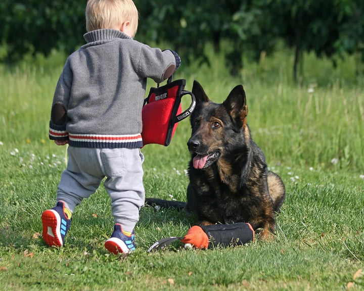 Dingo Gear Beisskissen Keilform Mini Weicher aus Baumwolle-Nylon Rot Welpen und Junge Hunde Ausbildu