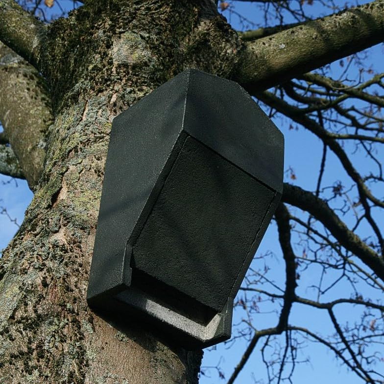 HASSELFELDT Fledermaus Grossraumhöhle aus Holzbeton | Wetterfest | Fledermausquartier | Fledermauswo