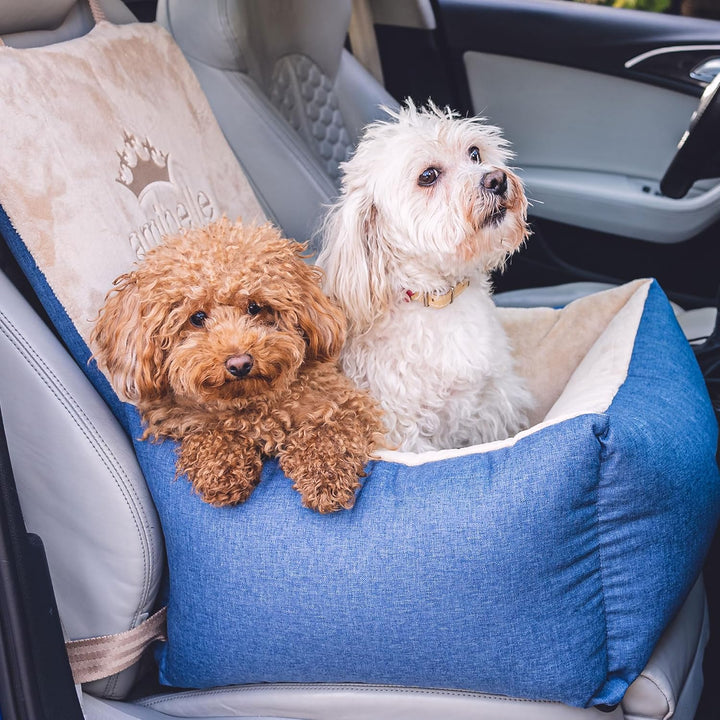 Luxuriös Hunde Auto Sitz | Autositz für Hunde, Rückbank, Vordersitz | Universal Waschbar Hundeautosi