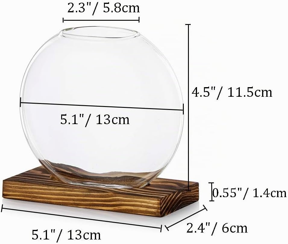 Tischplatte hängen Glas Pflanzer Pcs von 2 Vermehrungsstation Moderne Blumenknospe Vase in Holz Steh