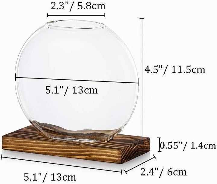 Tischplatte hängen Glas Pflanzer Pcs von 2 Vermehrungsstation Moderne Blumenknospe Vase in Holz Steh