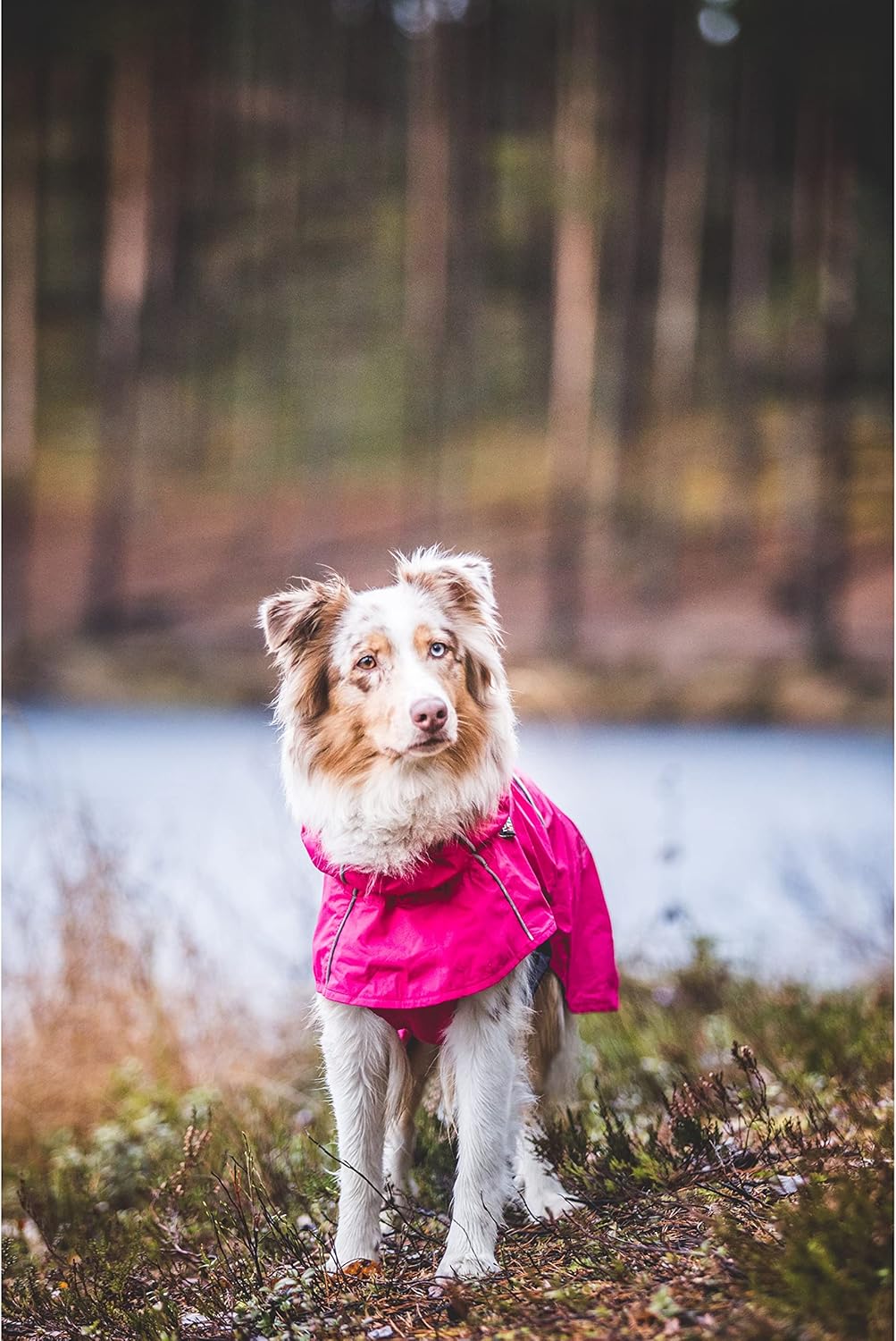 Rukka Pets HASE Regenmantel für Hunde Himbeere 35 35 Himbeere, 35 Himbeere