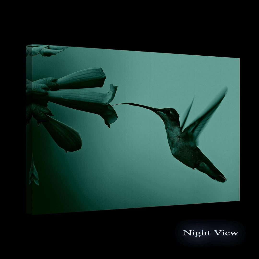Startonight Bilder Netter Kolibri, Leinwandbilder Moderne Kunst, Vögel Wanddeko Kunstdrucke, Wandbil