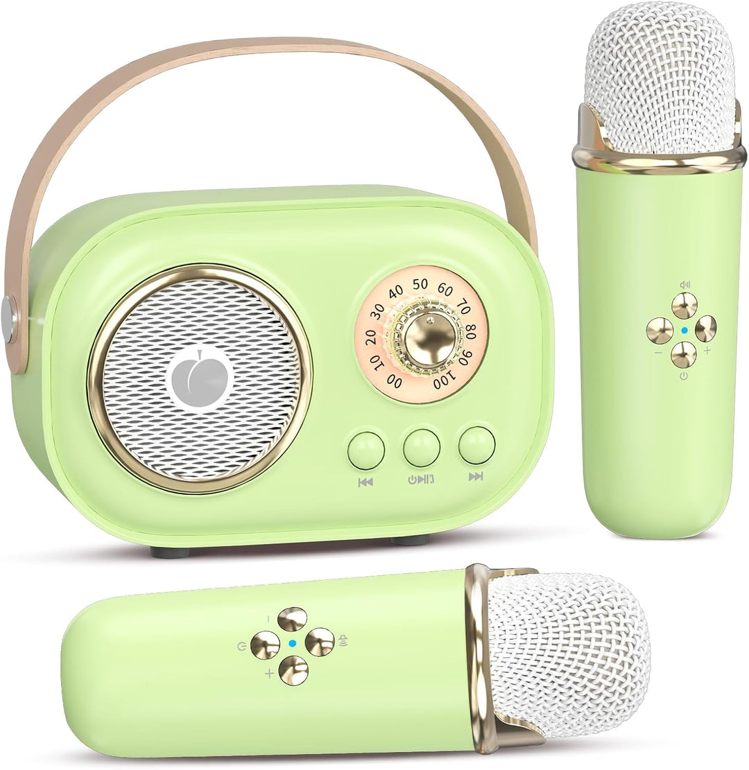heetipuk Mini-Karaoke-Maschine für Kinder und Erwachsene, Tragbarer Bluetooth-Lautsprecher mit 2 Kab