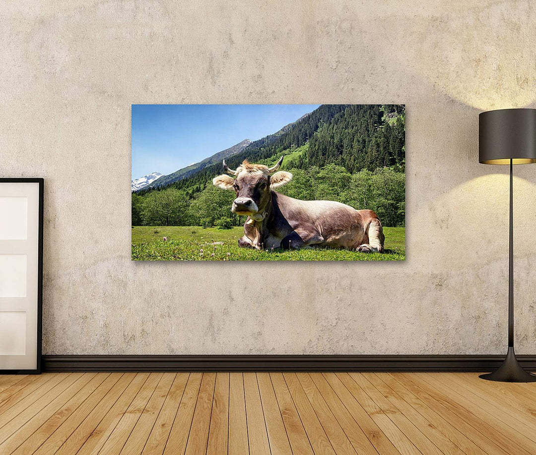 islandburner Bild auf Leinwand Kuh Europäische Alpen Bilder Wandbilder Poster, Leinwand 80x40cm