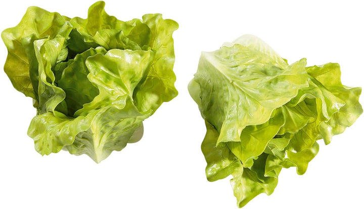 Deko Dummy Römersalat grün Lebensmittel-Attrappen Dekoration 16 cm