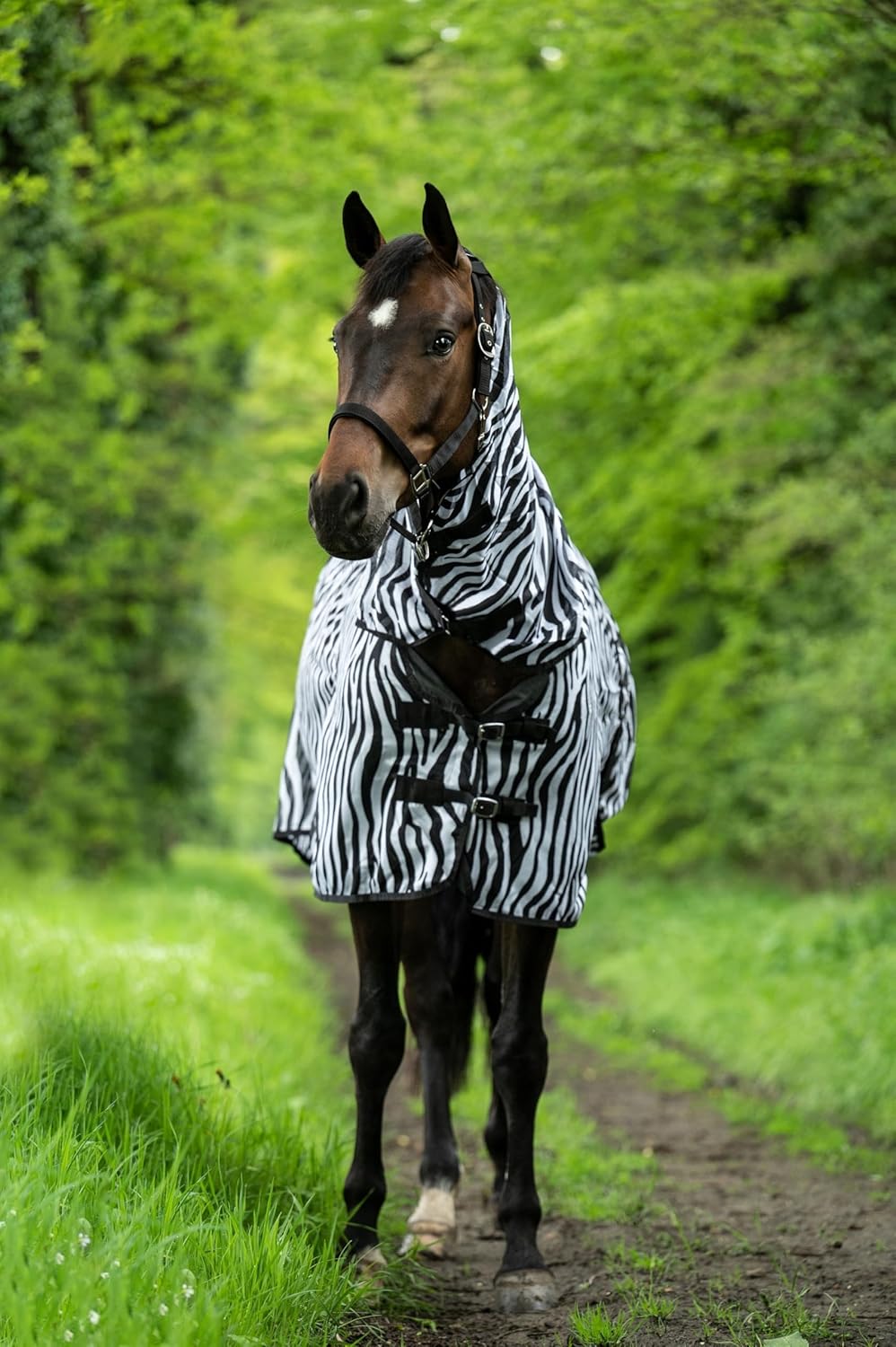 HKM Fliegendecke mit Halsteil -Zebra- mit Bauchlatz, weiss/schwarz, 145 Weiss/Schwarz 145 cm, Weiss/