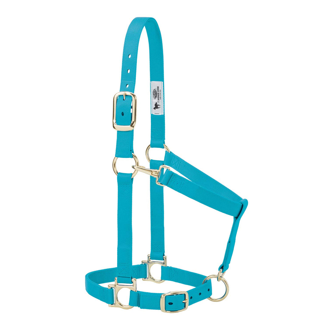 Weaver Leather Basic verstellbares Halfter Türkis Average Horse, Türkis Average Horse