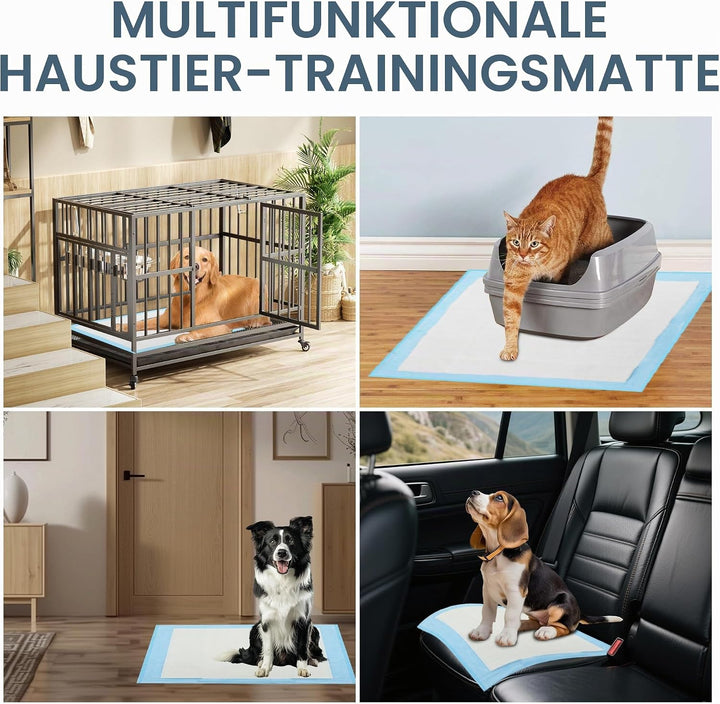 PIPI Matten für Hunde, 100 Stück Trainingspads, Wickelunterlagen Einweg 33X45cm, Einmalunterlagen, A