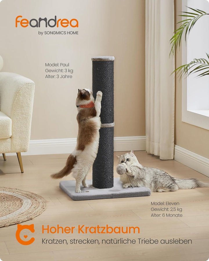 Feandrea Kratzbaum, 85 cm hoch, Kratzsäule XL, 13 cm Dicker Stamm, Katzenbaum, Kratzstamm für mittel